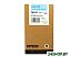 Картридж EPSON C13T603500 Картридж EPSON C13T603500