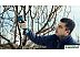 Секатор Bosch Pro Pruner Professional 06019K1021 (с 2-мя АКБ)
