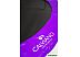 Батут Calviano Inside Master Purple 252 см - 8ft (внутренняя сетка, с лестницей) Батут Calviano Inside Master Purple 252 см - 8ft (внутренняя сетка, с лестницей)