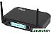 Микрофон Ritmix RWM-222 Микрофон Ritmix RWM-222