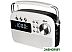 Радиоприемник Ritmix RPR-705