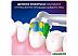 Сменная насадка Oral-B FlossAction EB25RB (2 шт) Сменная насадка Oral-B FlossAction EB25RB (2 шт)