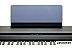 Цифровое пианино Kurzweil MPS110