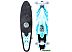Лонгборд Mindless Raider VI Mint ML2060 Лонгборд Mindless Raider VI Mint ML2060