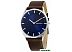 Наручные часы Skagen SKW6237 Наручные часы Skagen SKW6237