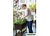 Ящик для рассады Keter Urban Bloomer 233062 Ящик для рассады Keter Urban Bloomer 233062