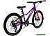 Детский велосипед Maxiscoo Starlight MSC-SL2401-7-G (темный маджента) Детский велосипед Maxiscoo Starlight MSC-SL2401-7-G (темный маджента)