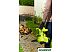 Воздуходувка RYOBI RBV 3000 CSV Воздуходувка RYOBI RBV 3000 CSV