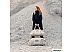 Дорожная сумка Thule Chasm 40L TDSD302SS (soft sand) Дорожная сумка Thule Chasm 40L TDSD302SS (soft sand)