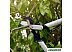 Сучкорез Fiskars PowerGeaX LX92 1020186 Сучкорез Fiskars PowerGeaX LX92 1020186