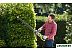 Кусторез Ryobi RHT8165RL Кусторез Ryobi RHT8165RL