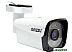 IP-камера Ginzzu HIB-2301S IP-камера Ginzzu HIB-2301S