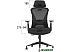 Кресло Evolution Office Comfort (черный) Кресло Evolution Office Comfort (черный)