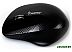 Мышь беспроводная SmartBuy 309AG Black (SBM-309AG-K)