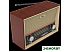 Радиоприемник Ritmix RPR-102 (бук) Радиоприемник Ritmix RPR-102 (бук)