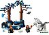 Конструктор LEGO Harry Potter Запретный лес: Волшебные существа 76432