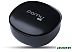 Наушники Padmate PaMu Quiet Mini T10M (черный) Наушники Padmate PaMu Quiet Mini T10M (черный)