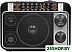 Радиоприемник Ritmix RPR-171 Радиоприемник Ritmix RPR-171