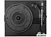 Виниловый проигрыватель Ritmix LP-240 (черный) Виниловый проигрыватель Ritmix LP-240 (черный)