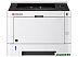 Принтер Kyocera Mita ECOSYS P2235dn