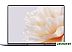 Ноутбук Huawei MateBook X Pro 2023 MorganG-W7611T 53013SJV