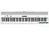 Цифровое пианино Roland FP-60X (белый) Цифровое пианино Roland FP-60X (белый)