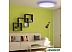 Люстра-тарелка Yeelight Arwen Ceiling Light 450S YLXD013 Люстра-тарелка Yeelight Arwen Ceiling Light 450S YLXD013