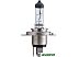 Галогенная лампа Philips H4 LongLife EcoVision 1шт [12342LLECOC1]