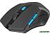 Мышь Defender Accura MM-275 (черный/голубой)