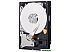 Жесткий диск Western Digital (WD) Caviar Blue 500Гб (WD5000AAKX) Жесткий диск Western Digital (WD) Caviar Blue 500Гб (WD5000AAKX)