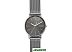 Наручные часы Skagen SKW6577 Наручные часы Skagen SKW6577