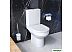 Унитаз AM.PM Spirit CK70DC Унитаз AM.PM Spirit CK70DC