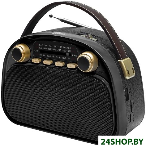 Радиоприемник Ritmix RPR-040 (черный) Радиоприемник Ritmix RPR-040 (черный)