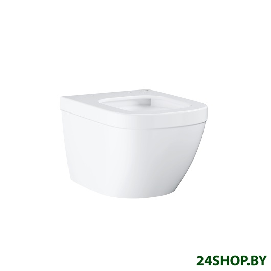 Унитаз подвесной GROHE Euro Ceramic (39206000) Унитаз подвесной GROHE Euro Ceramic (39206000)