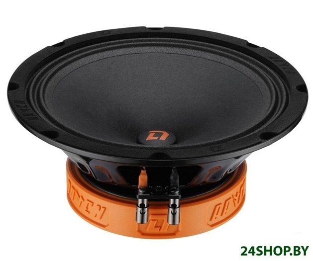 Среднечастотная АС DL Audio Raven 200 Среднечастотная АС DL Audio Raven 200