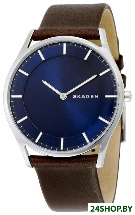 Наручные часы Skagen SKW6237 Наручные часы Skagen SKW6237