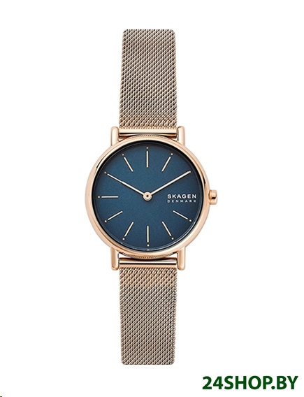 Наручные часы Skagen SKW2837 Наручные часы Skagen SKW2837