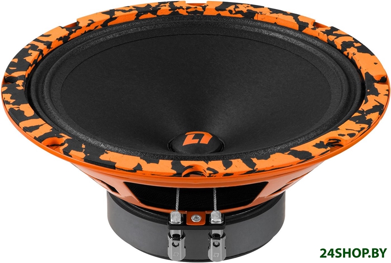 Среднечастотная АС DL Audio Barracuda 200 V.2 Среднечастотная АС DL Audio Barracuda 200 V.2