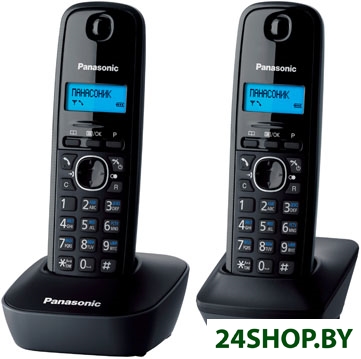Радиотелефон Panasonic KX-TG1612RUH Радиотелефон Panasonic KX-TG1612RUH