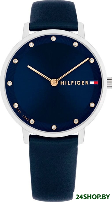 Наручные часы Tommy Hilfiger 1782764 Наручные часы Tommy Hilfiger 1782764