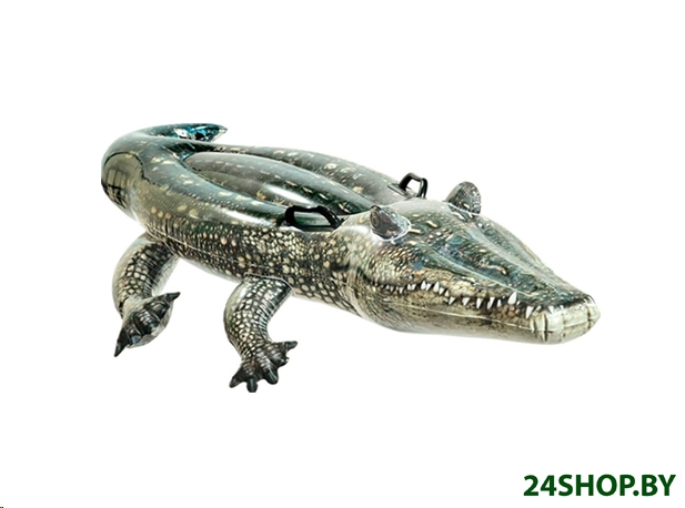 Надувной игрушка-наездник INTEX Аллигатор (57551NP) Надувной игрушка-наездник INTEX Аллигатор (57551NP)