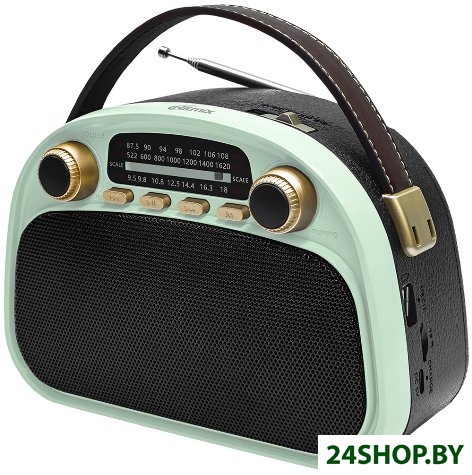 Радиоприемник Ritmix RPR-040 (мятный) Радиоприемник Ritmix RPR-040 (мятный)