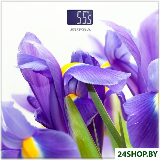 Напольные весы Supra BSS-2013 Напольные весы Supra BSS-2013