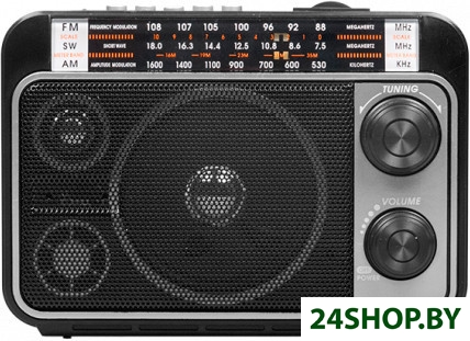 Радиоприемник Ritmix RPR-171 Радиоприемник Ritmix RPR-171