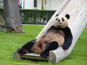 Опрос "Как Вы собираетесь провести майские праздники?"