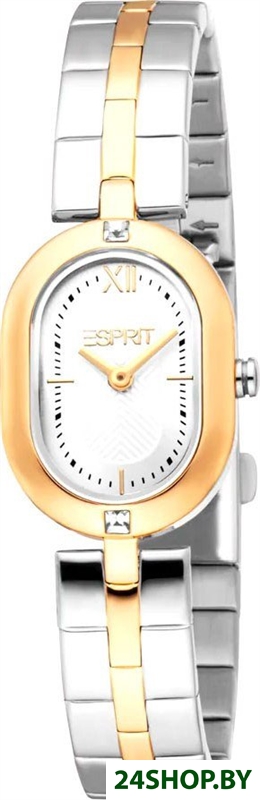 Наручные часы Esprit ES1L500M0045 Наручные часы Esprit ES1L500M0045