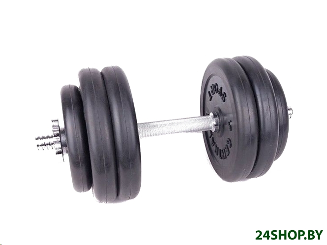 Гантель разборная Central Sport 27 кг Гантель разборная Central Sport 27 кг