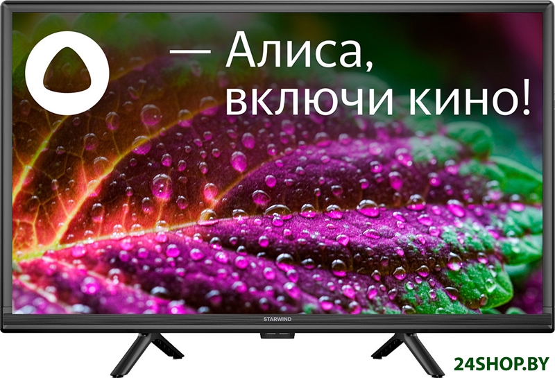 Телевизор StarWind SW-LED24SG304 Телевизор StarWind SW-LED24SG304