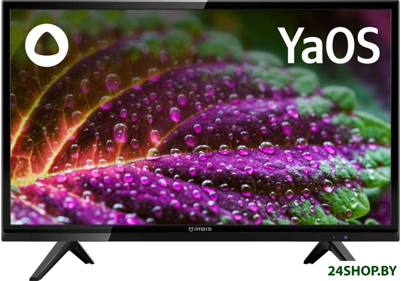 Телевизор IRBIS 24H1YDX101BS2 Телевизор IRBIS 24H1YDX101BS2