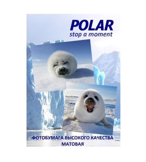 Самоклеящаяся бумага Polar A4K24025 универсальная, 24 деления, A4, 100 г/м2, 25 л Самоклеящаяся бумага Polar A4K24025 универсальная, 24 деления, A4, 100 г/м2, 25 л
